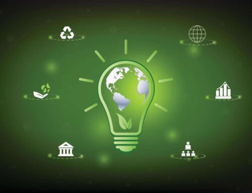 Tendenze Insegne Luminose 2025: Innovazioni e Sostenibilità